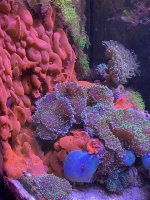 IMG_7071.jpg