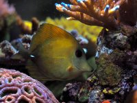 IMG_2801.jpeg