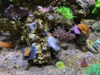 IMG_8356.jpg