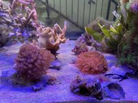 IMG_6998.jpeg