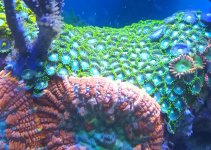 20240311_161143.jpg