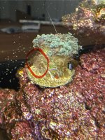IMG_4481.jpeg