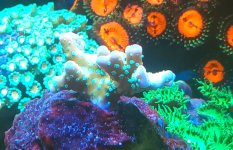 20240317_092054.jpg