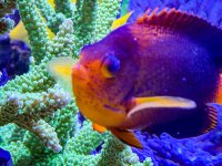 IMG_7081.jpeg