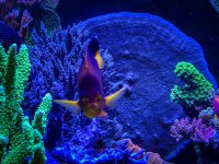 IMG_7078.jpeg