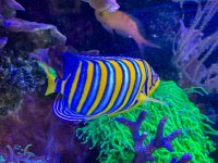 IMG_7062.jpeg