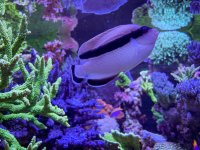 IMG_7063.jpeg