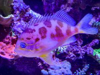 IMG_7080.jpeg