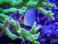 IMG_7067.jpeg