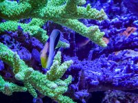 IMG_7066.jpeg