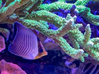 IMG_7077.jpeg