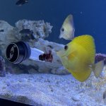 IMG_2890.jpeg