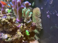 IMG_8597.jpg