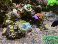 IMG_8605.jpg