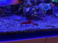 IMG_8618.jpg