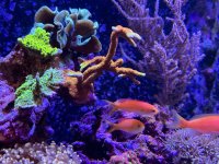 IMG_5599.jpeg IMG_5599.jpeg