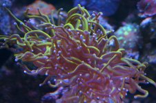 DSC08152.JPG