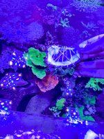 IMG_7119.jpeg