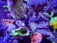 IMG_7120.jpeg