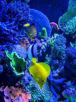 IMG_7121.jpeg