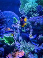 IMG_7123.jpeg