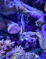 IMG_7124_jpg.jpeg