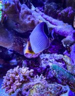 IMG_7126_jpg.jpeg