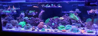 20240405_200718.jpg