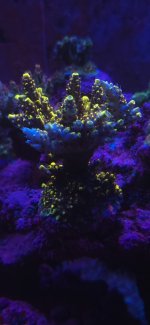 20240406_010644.jpg