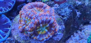 20240107_144522.jpg