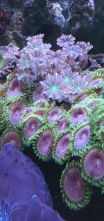 20240107_144517.jpg