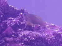 20240412_191401.jpg