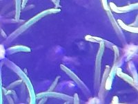 20240416_203939.jpg 20240416_203939.jpg