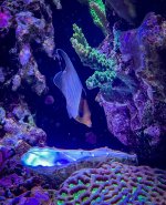 IMG_7197_jpg.jpeg