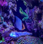 IMG_7196_jpg.jpeg