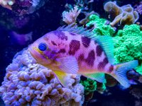 IMG_7192.jpeg