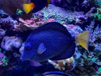 IMG_7191.jpeg