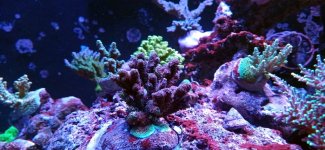 20240425_000337.jpg