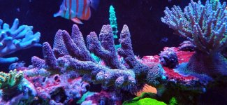 20240425_000449.jpg