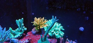 20240425_000550.jpg