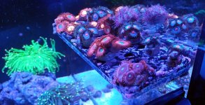 20240425_000606.jpg