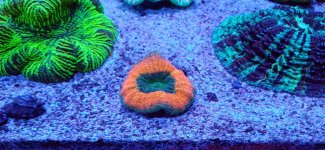 20240425_000618.jpg