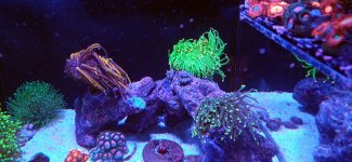20240425_000652.jpg
