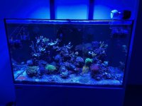 IMG_9066.jpg