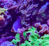 IMG_7241_jpg.jpeg