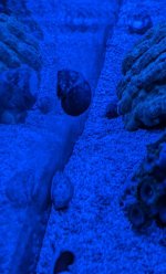 PXL_20240501_203705226.MP~3.jpg
