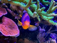 IMG_7360.jpeg