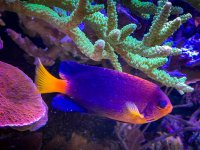 IMG_7361.jpeg
