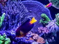 IMG_7372.jpeg