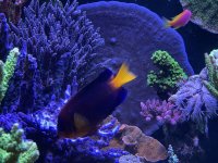 IMG_7372.jpeg